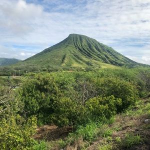 Meet your Posher, Alexa